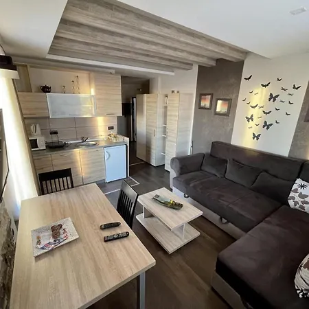 Apartment Bellevue E7 *