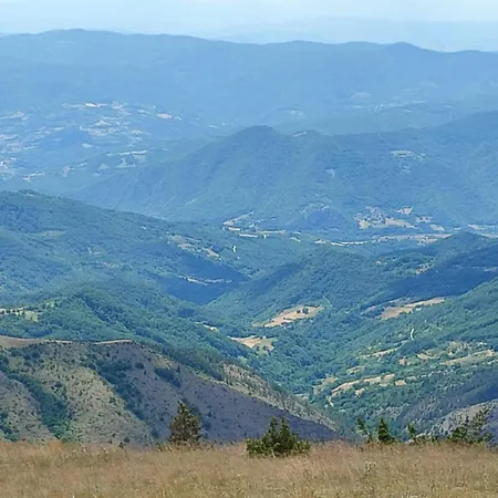 Bellevue E7 Kopaonik